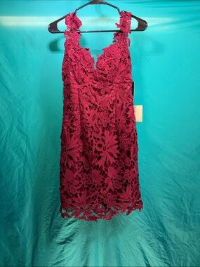 Lulu's Wine Red Floral Lace Mini Dress